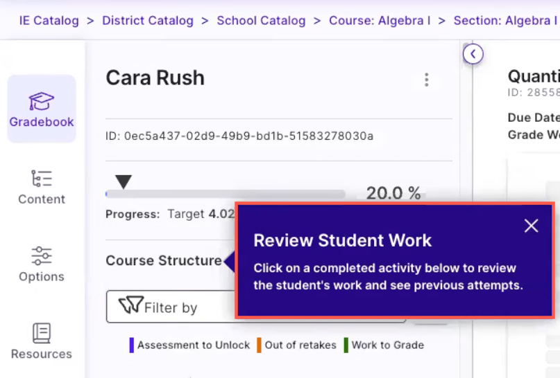 Onboarding-ReviewStudentWork.png